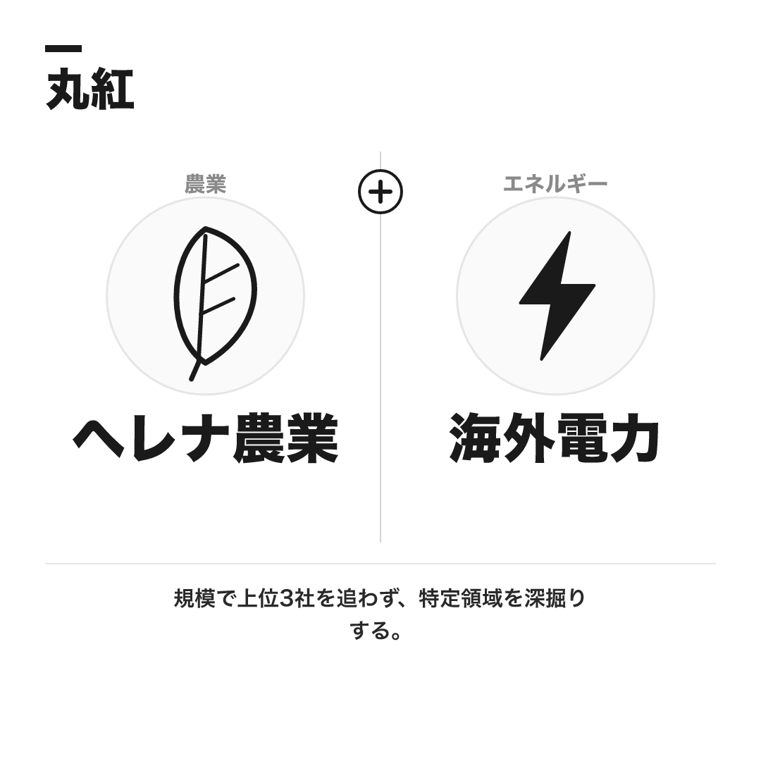 丸紅の代表事業:ヘレナ農業と海外電力。規模で上位3社を追わず特定領域を深掘りする