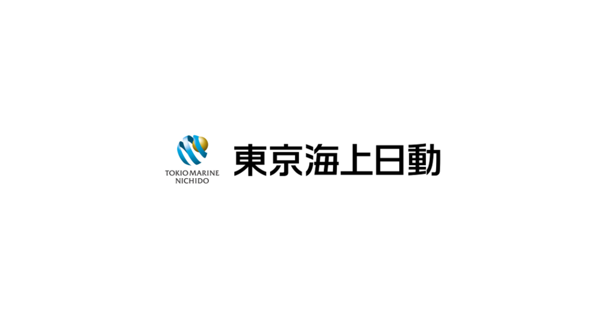 東京海上日動火災保険の企業分析サムネイル